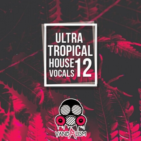 Vandalism Ultra Tropical House Vocals 12