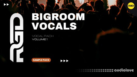 RAGGED Big Room and G-House Vocals Volume 1 WAV