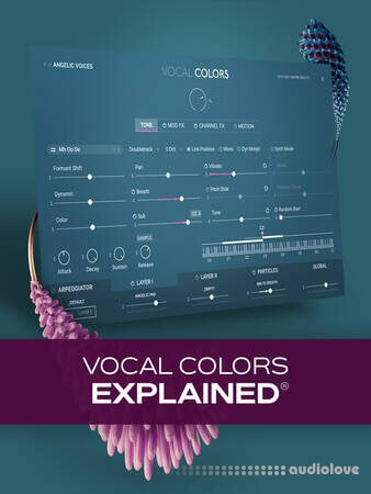 Groove3 Vocal Colors Explained TUTORiAL