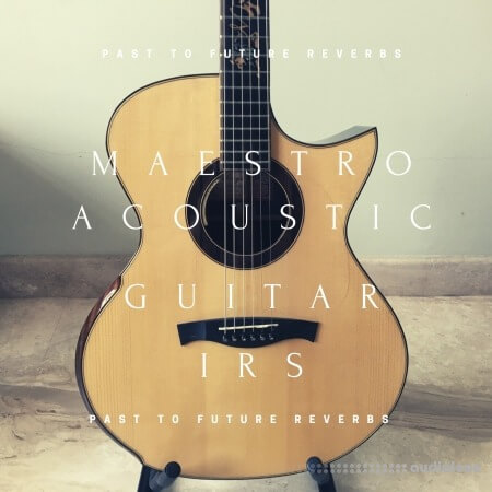 PastToFutureReverbs Maestro Acoustic Guitar IRs