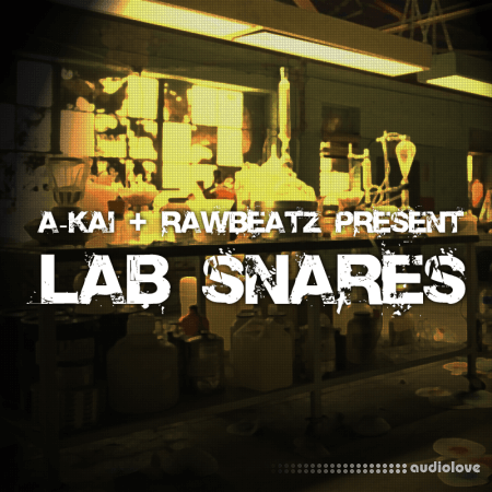 RawBeatz Lab Snares WAV