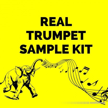 Real Trumpet Sample Kit WAV