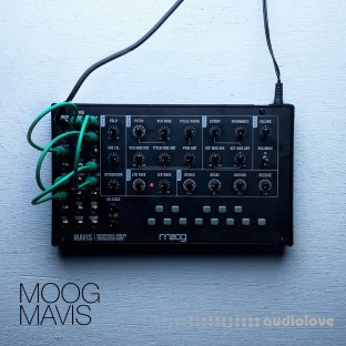 David Hilowitz Moog Mavis + Experiments [Patreon Exclusive] [Decent Sampler]
