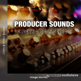 Image Sounds Producer Sounds Electro Collection