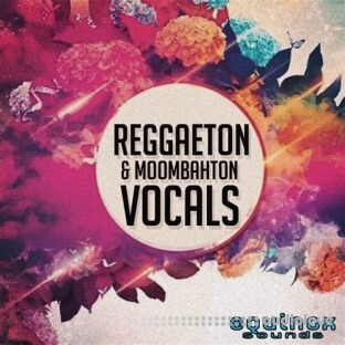 Equinox Sounds Reggaeton And Moombahton Vocals Vol.1