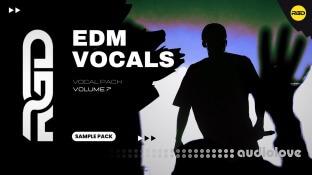 RAGGED Ultimate EDM Vocal Pack Volume 7