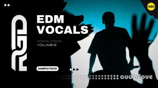 RAGGED Ultimate EDM Vocal Pack Volume 6
