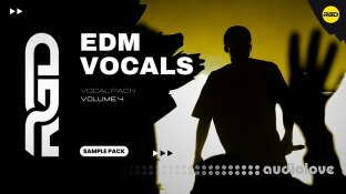 RAGGED Ultimate EDM Vocal Pack Volume 4