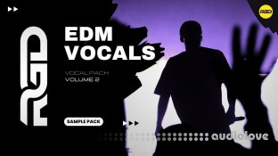 RAGGED Ultimate EDM Vocal Pack Volume 2