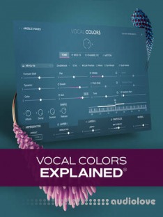Groove3 Vocal Colors Explained