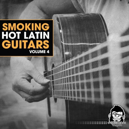 Vanilla Groove Studios Smoking Hot Latin Guitars Vol.4