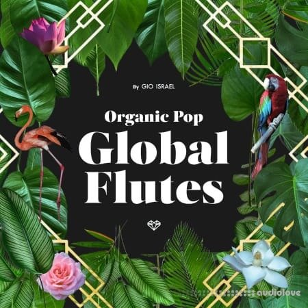 Gio Israel Organic Pop - Global Flutes