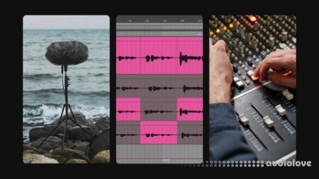 Udemy The Art Of Noise: Recording Processing And Philosophy TUTORiAL