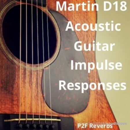 PastToFutureReverbs Martin D-18 Acoustic Guitar