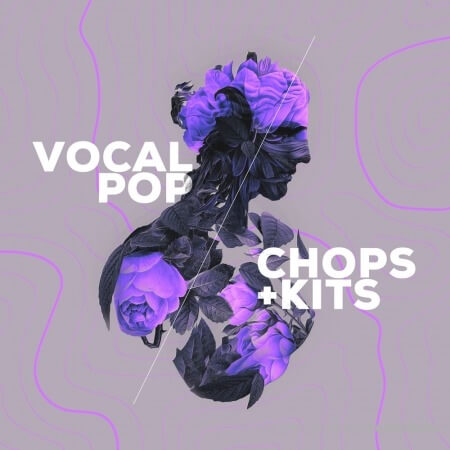 Audiomodern VOCAL POP Chops and Kits Synth Presets