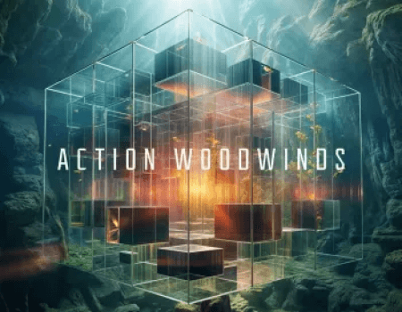 Native Instruments Action Woodwinds