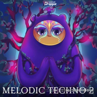 Dropgun Samples Melodic Techno 2