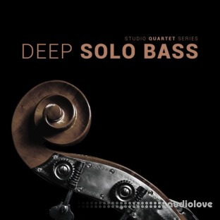 8Dio Studio Quartet Series Deep Solo Bass