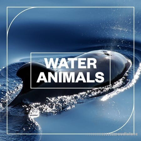 Blastwave FX Water Animals WAV