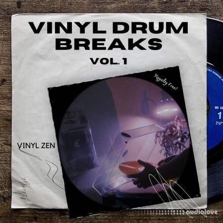 PastToFutureReverbs Vinyl Drum Breaks Vol.1 WAV