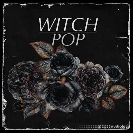 Drumdrops Witch Pop WAV
