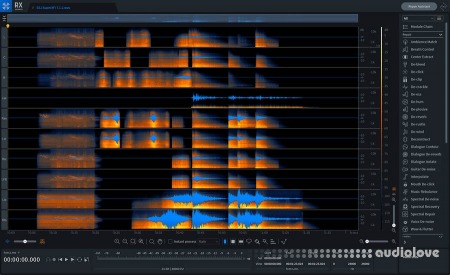 iZotope RX 11 Advanced Audio Editor v11.0.1 WiN