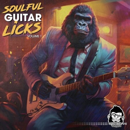 Vanilla Groove Studios Soulful Guitar Licks Vol 1 WAV