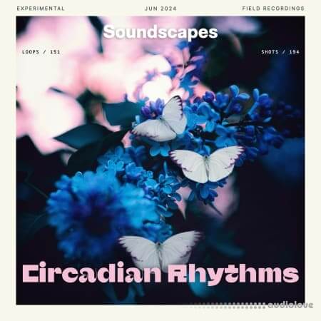 Splice Soundscapes Circadian Rhythms WAV