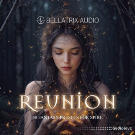 Bellatrix Audio Reunion Synth Presets