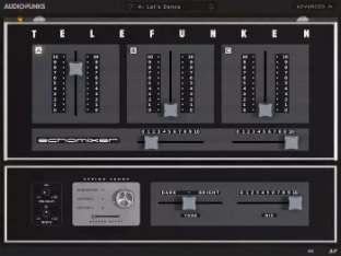 Audiopunks Telefunken Echomixer