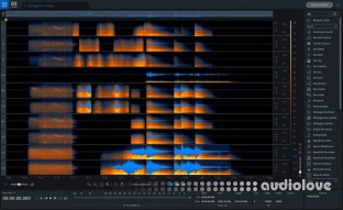 iZotope RX 11 Advanced Audio Editor