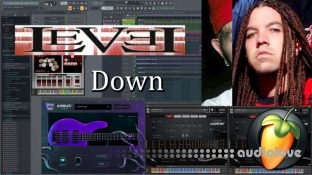 RE Music LeVel Down FLP / MIDI Files (Shreddage 3)