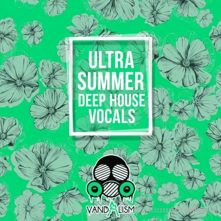 Vandalism Ultra Summer Deep House Vocals WAV MiDi