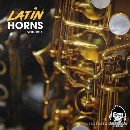 Vanilla Groove Studios Latin Horns Vol 1