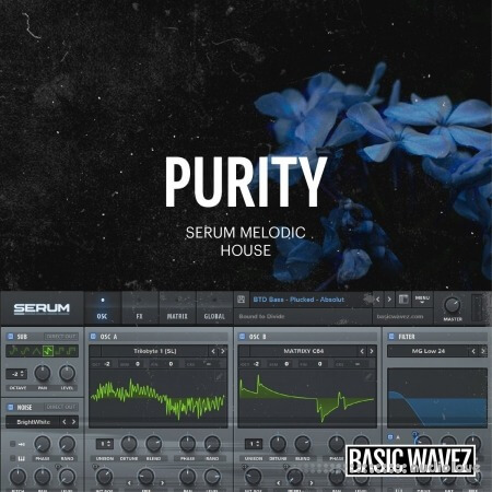 Baisc Wavez Embers Purity Melodic House Presets