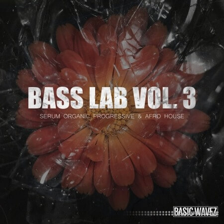 Baisc Wavez Bass Lab Vol.3 For Progressive Organic and Afro House