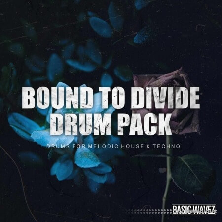 Baisc Wavez Bound to Divide Drum Pack Drums For Melodic House and Techno