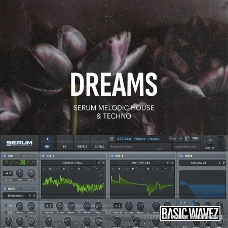 Baisc Wavez Dreams Melodic House and Techno Presets
