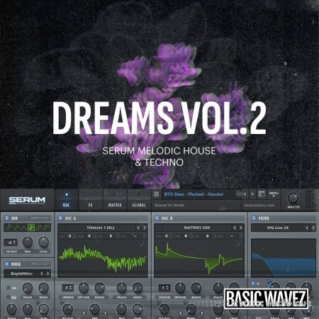 Baisc Wavez Dreams Vol.2 Melodic House and Techno Presets