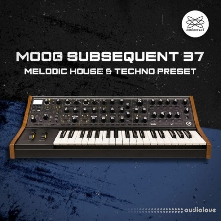 Audioreakt MOOG Subsequent 37: Melodic House and Techno Presets