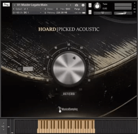 Musical Sampling Hoard Picked Acoustic v1.1.0 KONTAKT