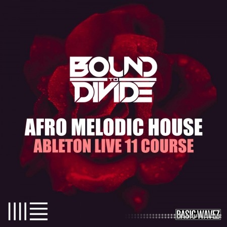 Basic Wavez Ableton Live 11 Course: Afro Melodic House Start To Finish With Bound to Divide