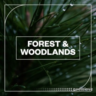 Blastwave FX Forest and Woodlands