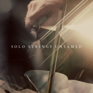 Westwood Instruments Solo Strings Untamed