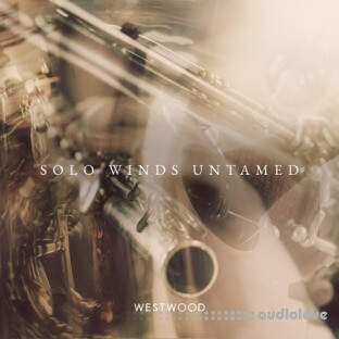Westwood Instruments Solo Winds Untamed