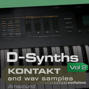 Amazound Samples D-Synths Vol.2