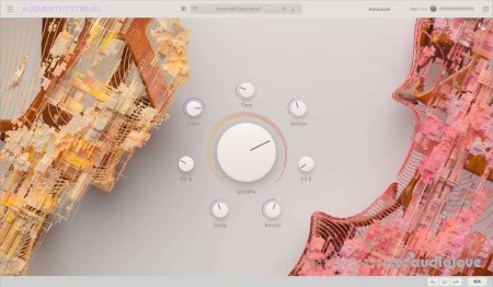 Arturia Augmented Bundle 2024.08 MacOSX