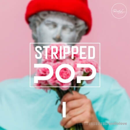 Roundel Sounds Stripped Pop Vol 1 WAV MiDi