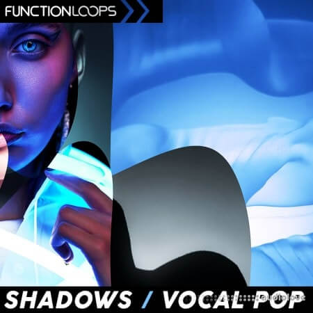 Function Loops Shadows - Vocal Pop WAV