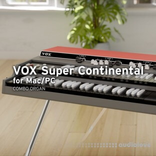 KORG VOX Super Continental